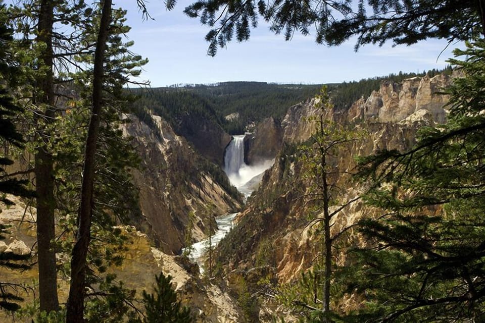Yellowstone Falls