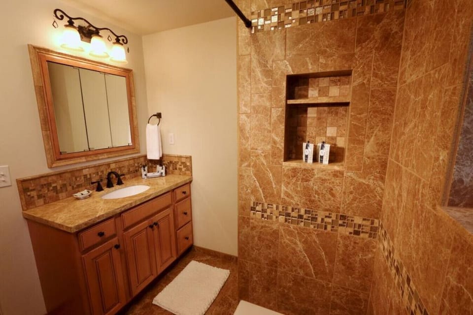 Downstairs bathroom with walk-in shower