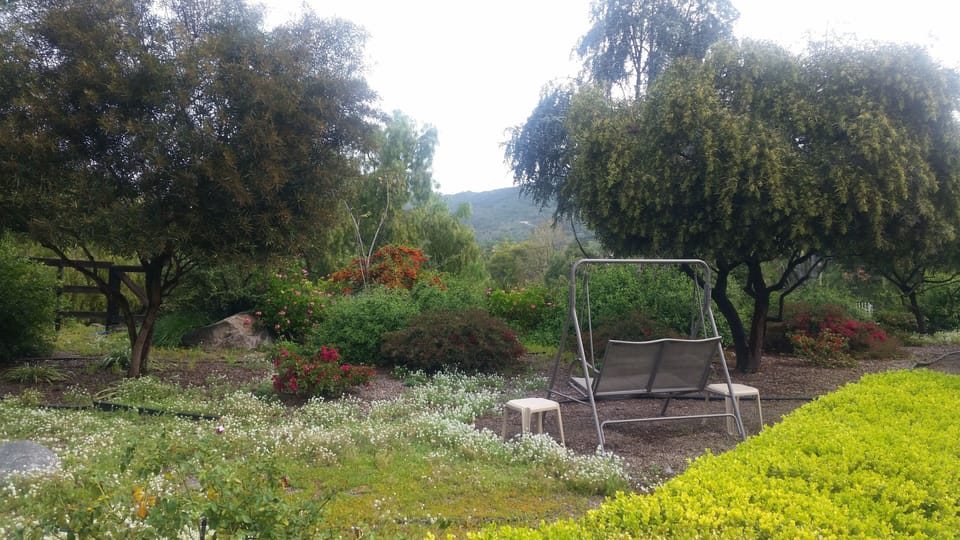 Enjoy  morning coffee or evening wine at our private garden with loveseat swing.