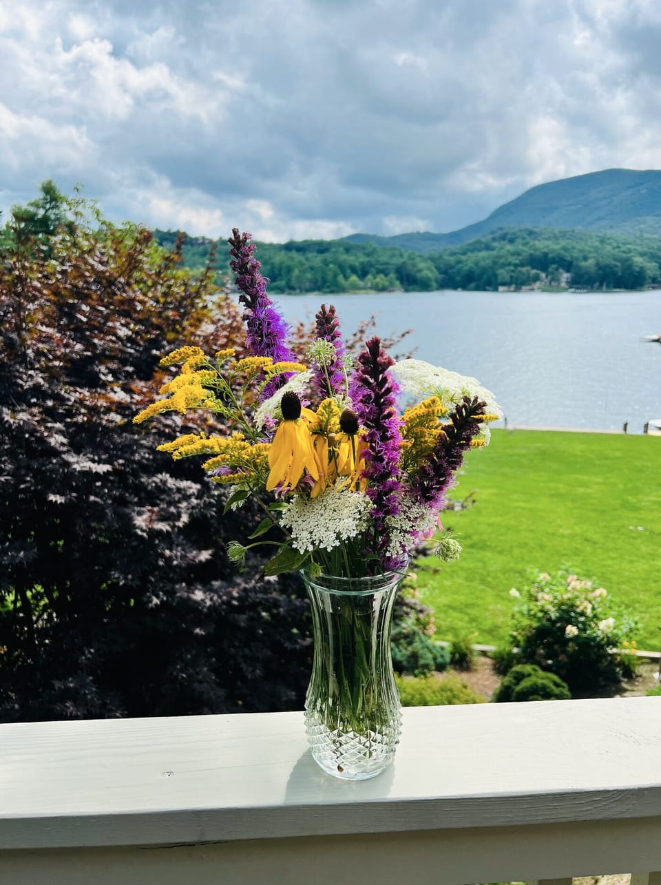Summer wildflowers