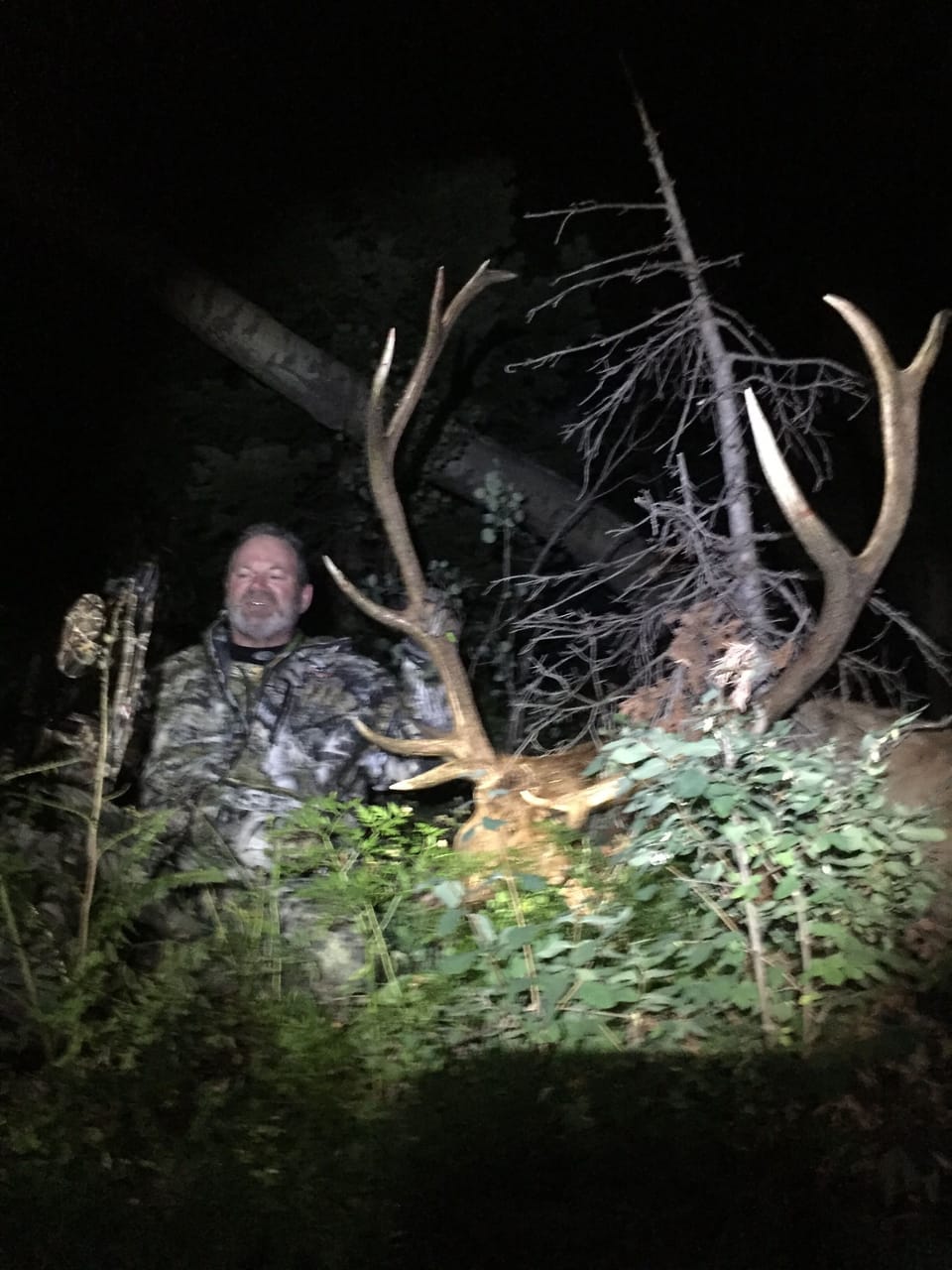 ELK HUNTING IN THE SAN JUAN WILDERNESS