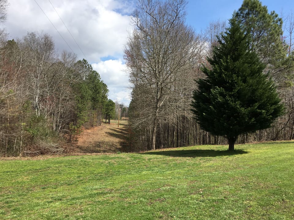 Favorite view from front yard!