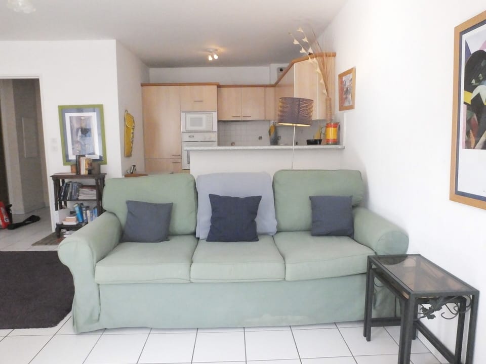 Living room and Kitchen area