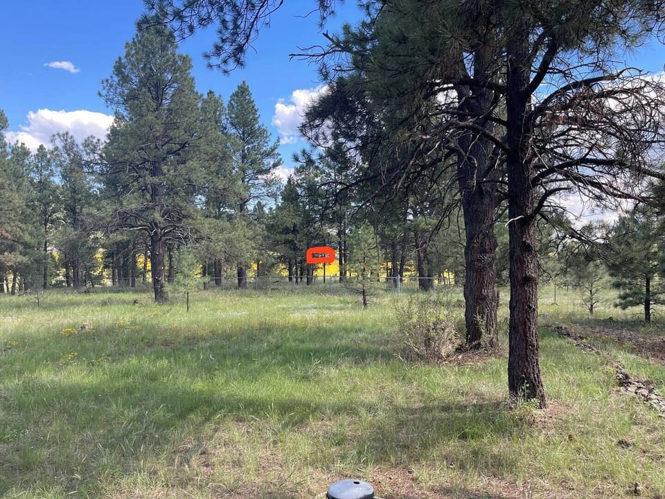 This is the view from the side deck, looking at the Freeway in the distance.  There is a teeny tiny Semi completely inside the red box. Yes, you can hear the freeway, but it's just some light white background noise for most. However, if you are expecting absolutely zero noise, a more remote cabin may be better for you :) 

