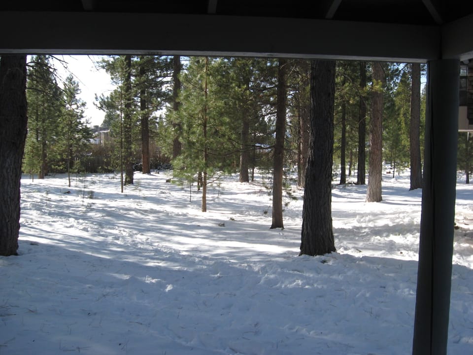 VIEW FROM THE DECK