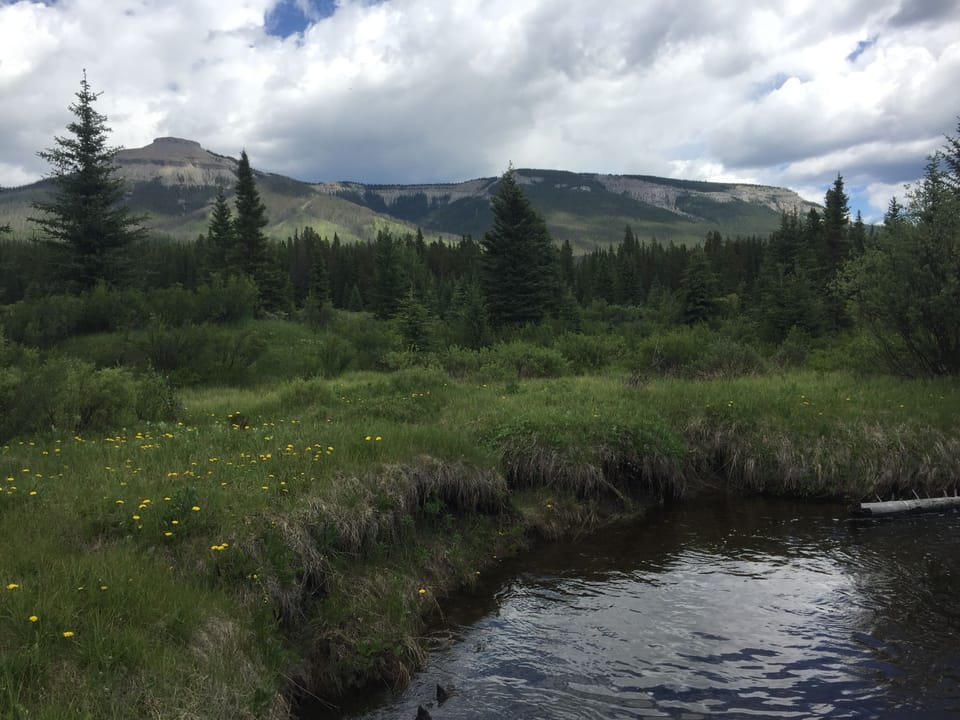 Mount Coliseum and Shunda Creek from walking trail