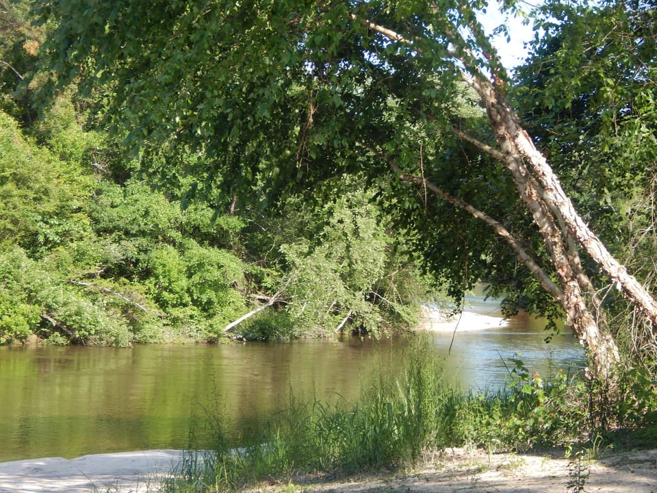 Red Creek
