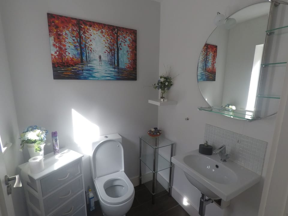 Downstairs Toilet