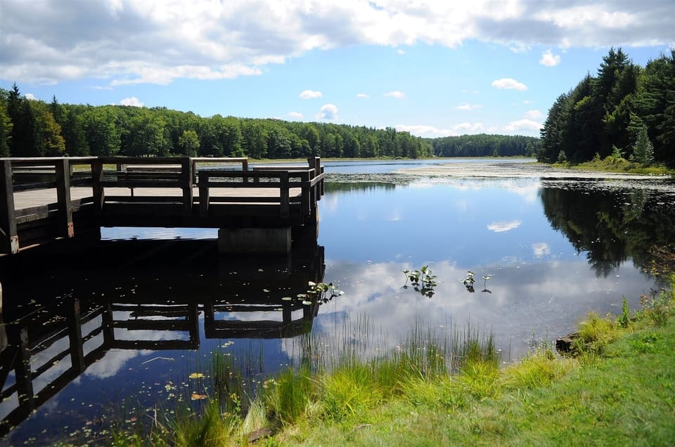 250 acre Black Moshannon Lake. There is plenty of fishing to do.