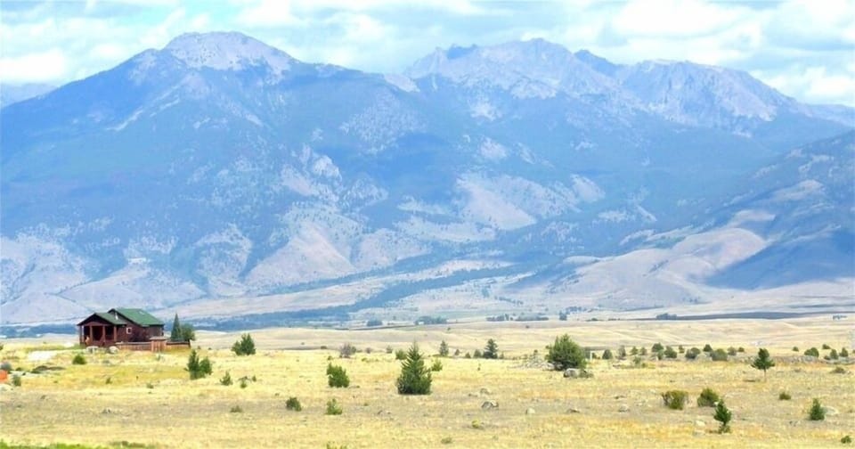 The backyard looking North East