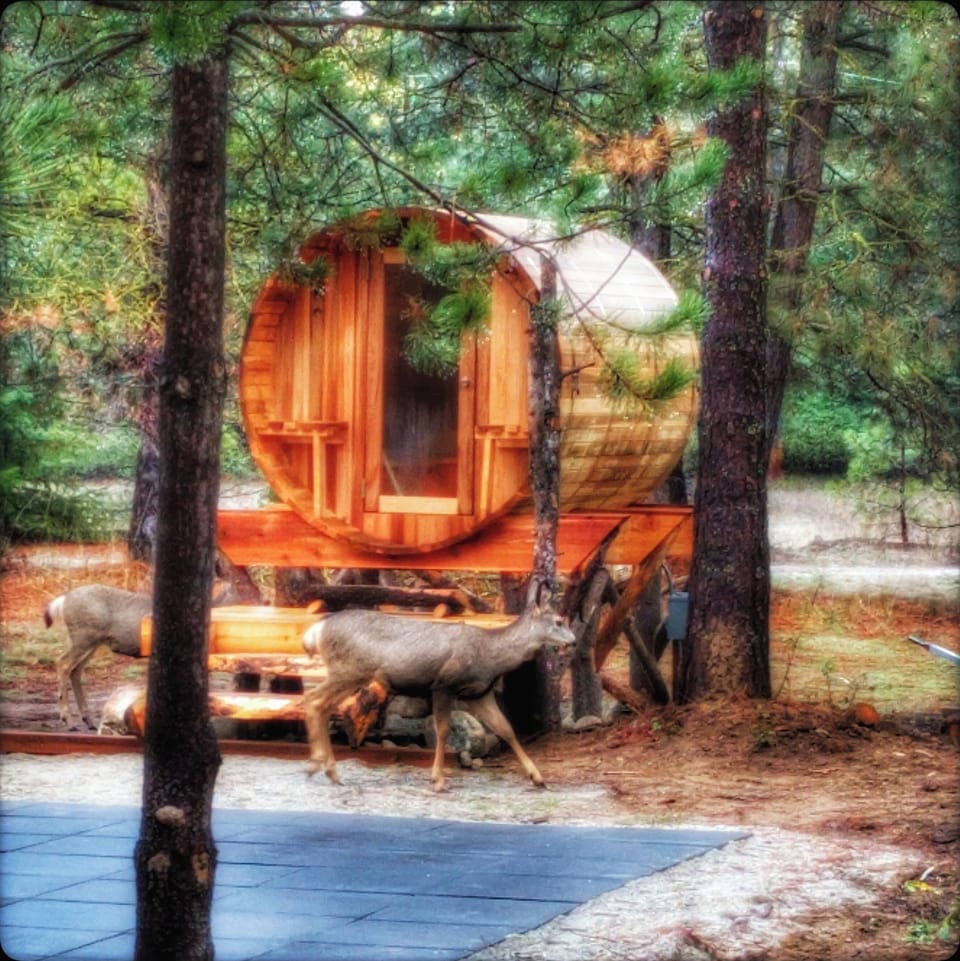 Gorgeous Barrel Sauna seats 4 and will have you relaxed immediately!