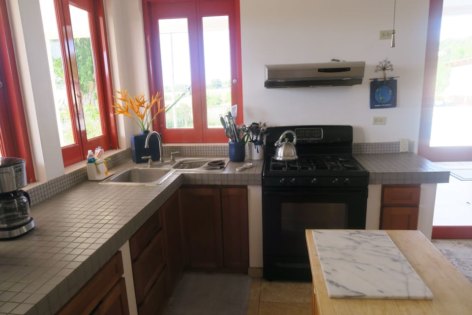 Kitchen counters and windows
