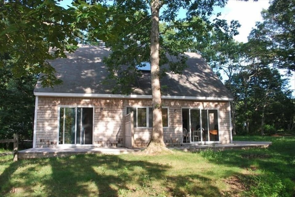 Back yard and patio