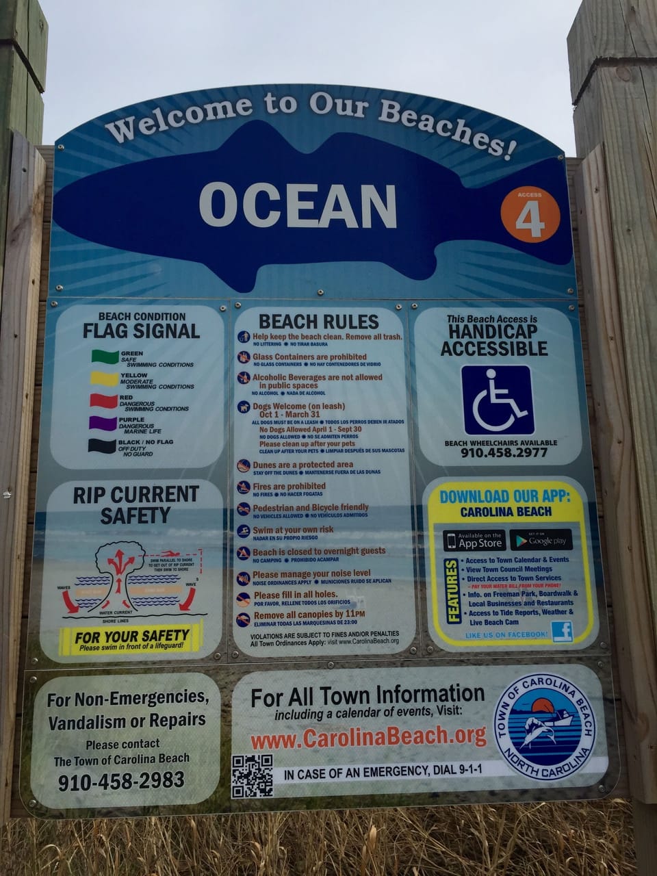 Beach Information/ including dog rules- www.CarolinaBeach.org