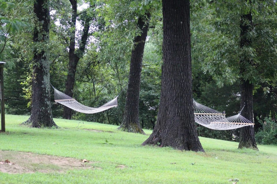 hammocks to relax on