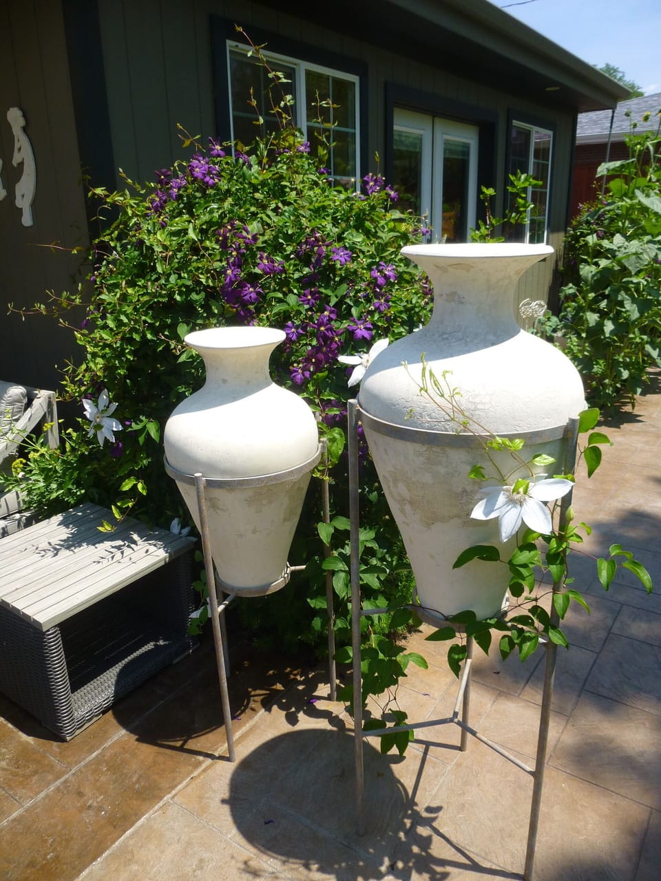 Guest Patio