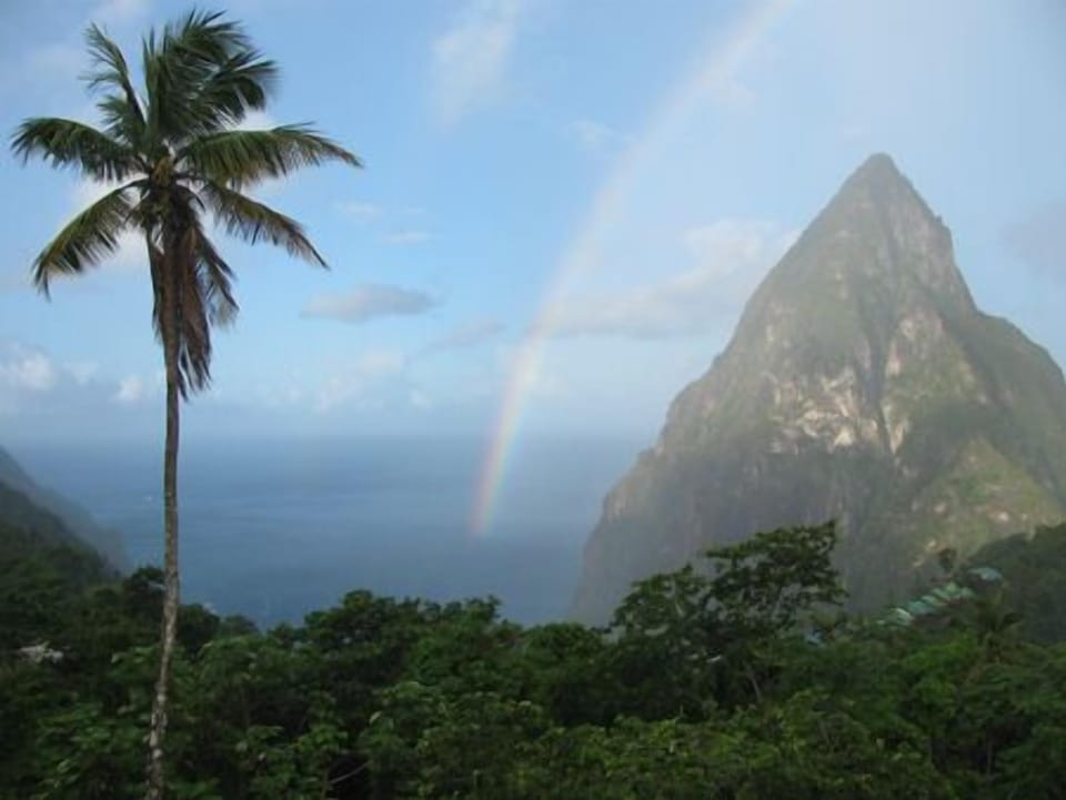Morning view from main floor deck