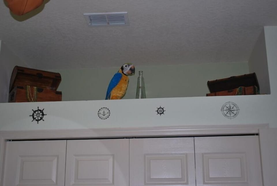 2nd bedroom