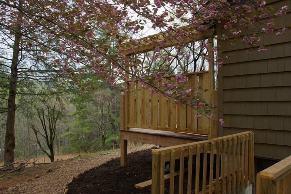 Many beautiful flowering trees in Spring