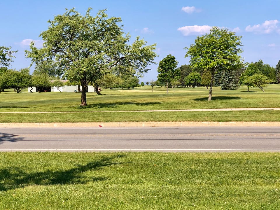 View across the street - Golf course, Lake Michigan, deer, turkey and apple tree
