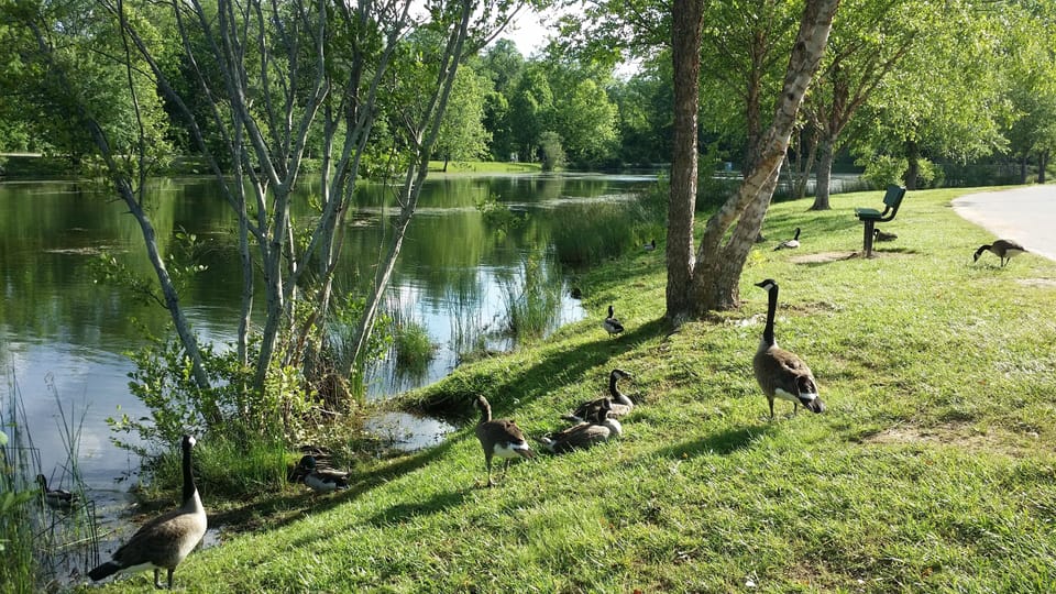 Owen park lakes, one half mile away
