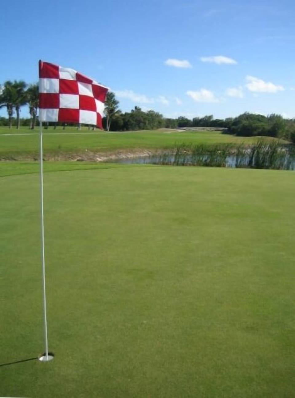 Golf Course less than a mile away