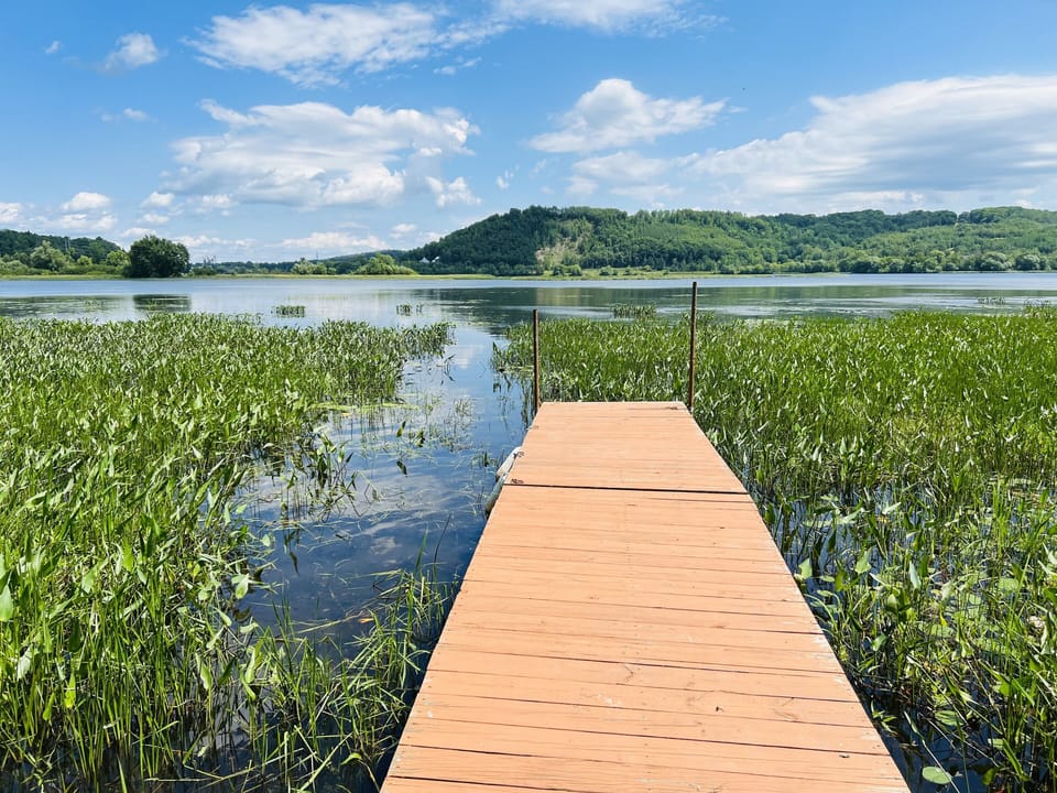 Weeds are thick around the dock. Water levels fluctuate. 