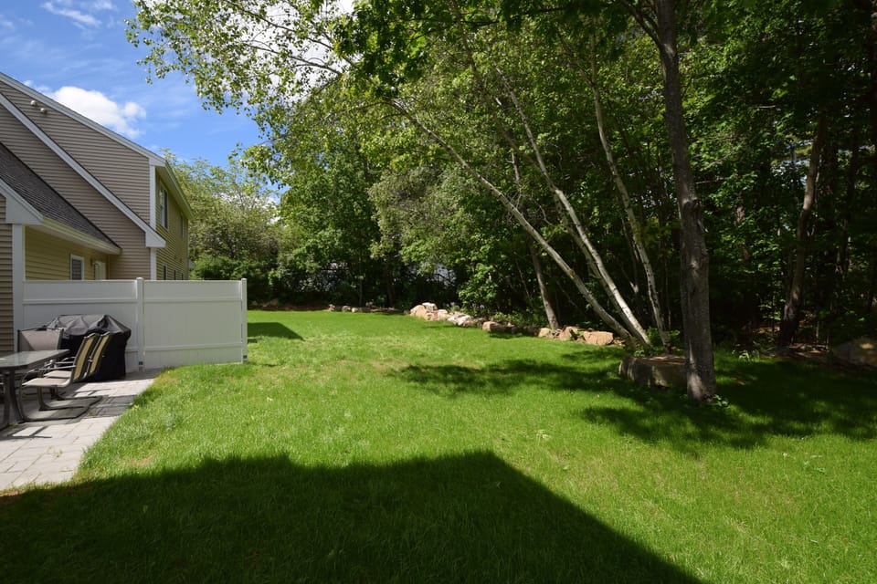 Great backyard with plenty of room to enjoy summer games family time.