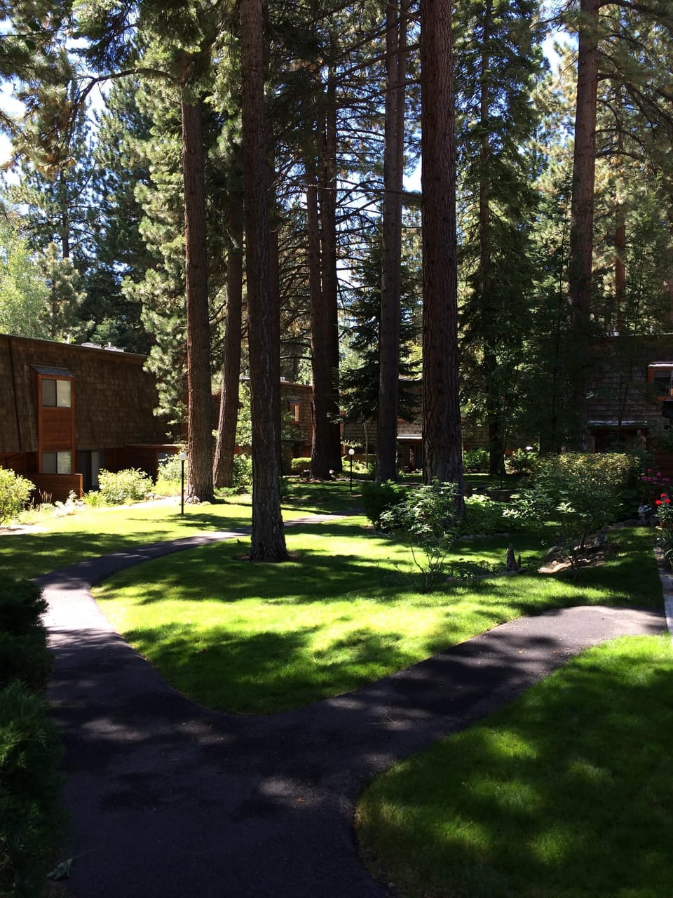 Our view from the front door