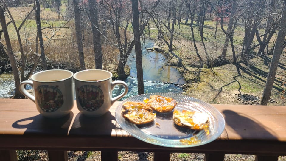Morning view of the creek from the deck