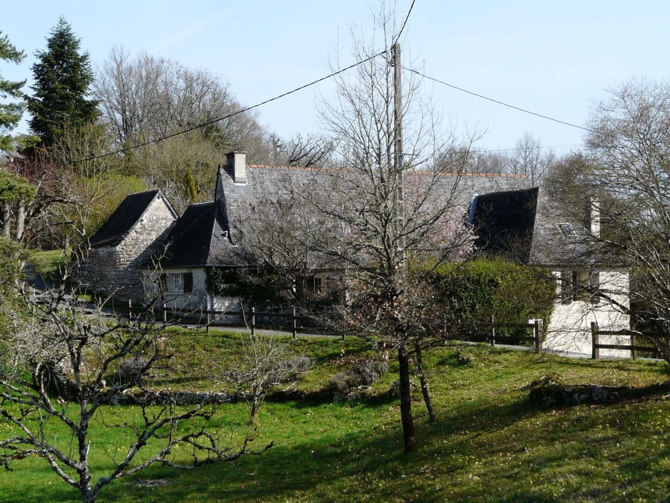 Tree, House, Rural Area, Spring, Cottage, Branch, Plant, Grass, Farmhouse, Architecture