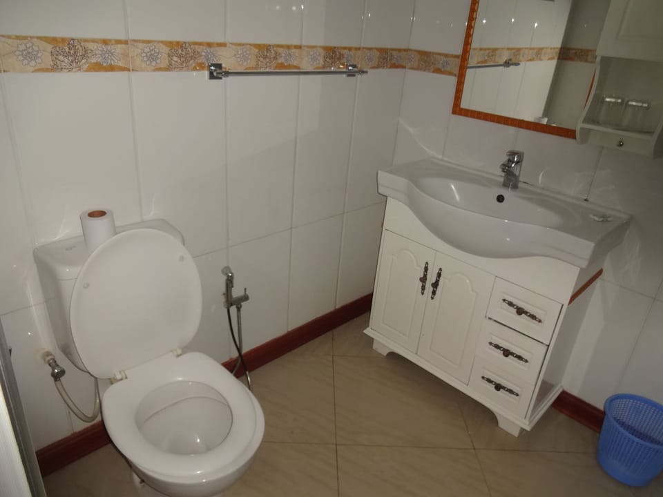 Shower, free toiletries, hair dryer, slippers