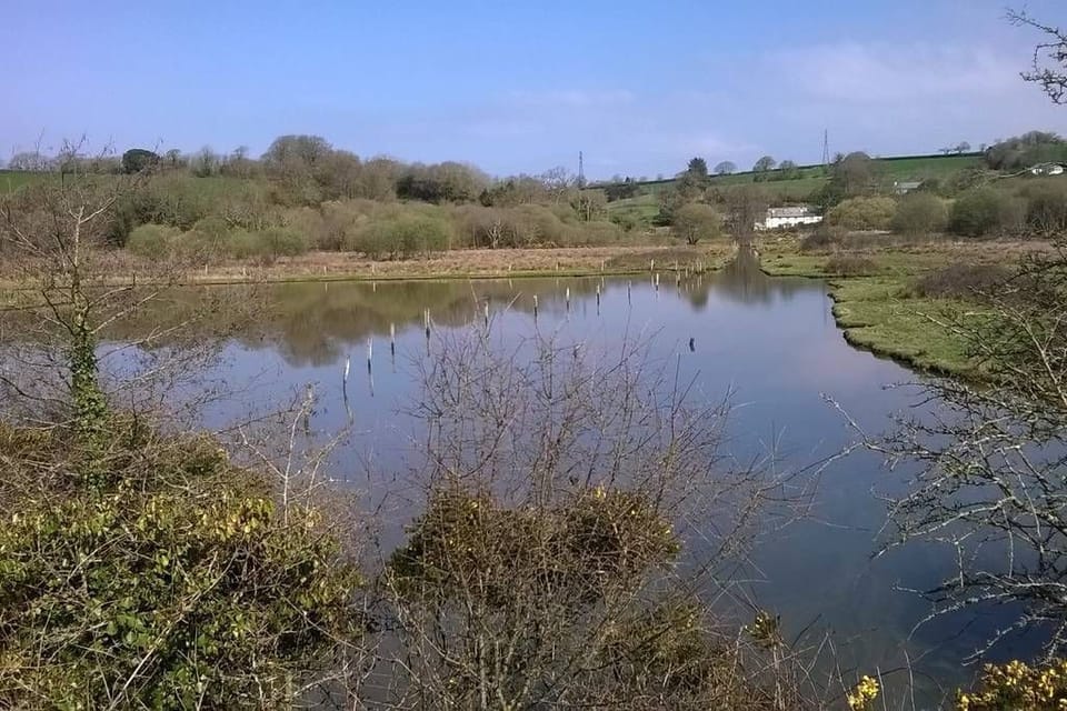 Lake on the farm's SSSI Salt Marsh Nature Reserve