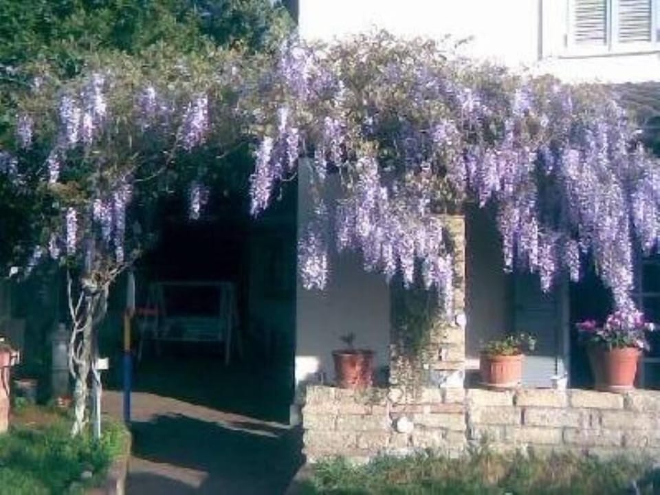 Garden, Park