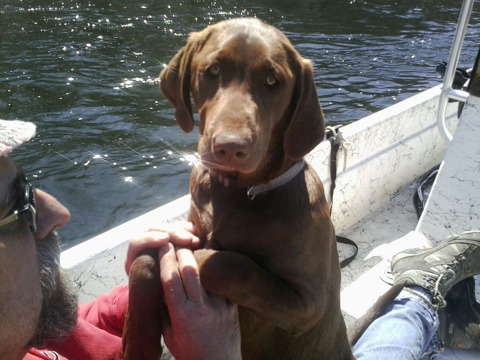 Boating on Salmon River