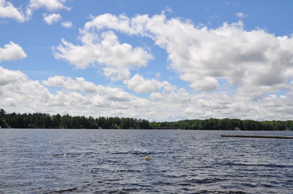 View of Acton Island Bridge from Raft