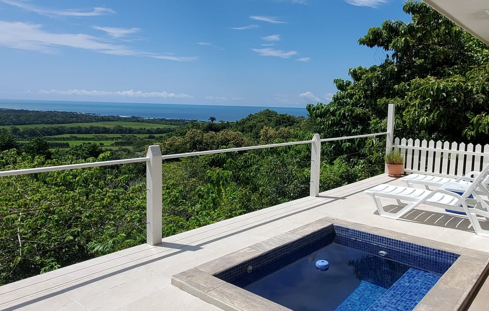 Sitting on the edge of the rain forest offers amazing views - not just an ocean