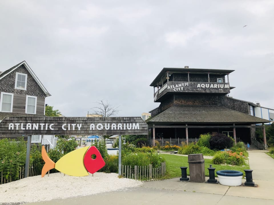 Aquarium for Kids