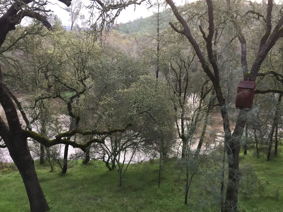 View from deck