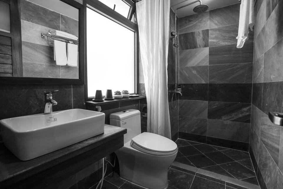 Shower, free toiletries, hair dryer, slippers