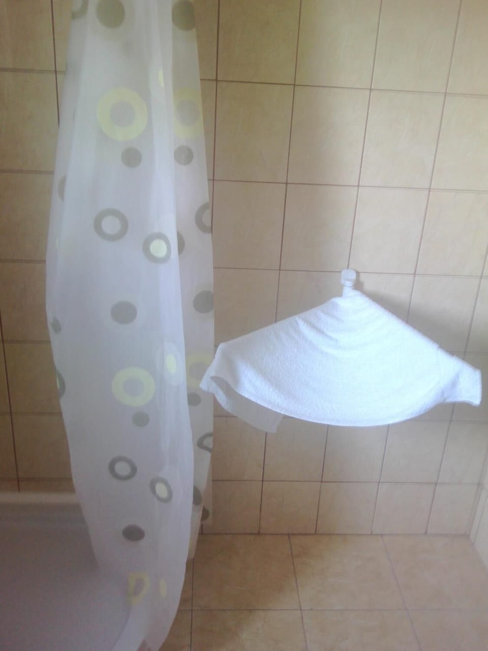 Shower, free toiletries, towels