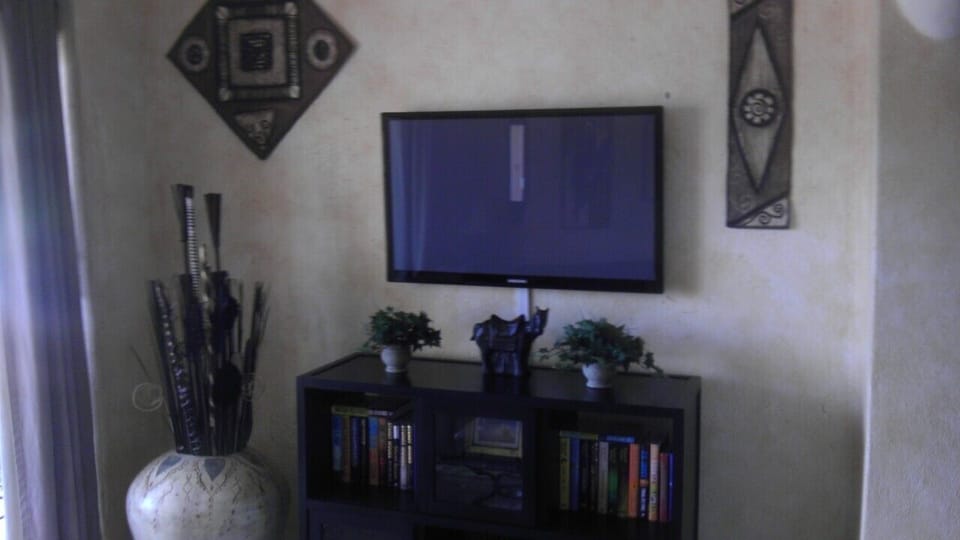 Nice large wall mount TV with satellite TV and Netflicks. TV in master DVD's