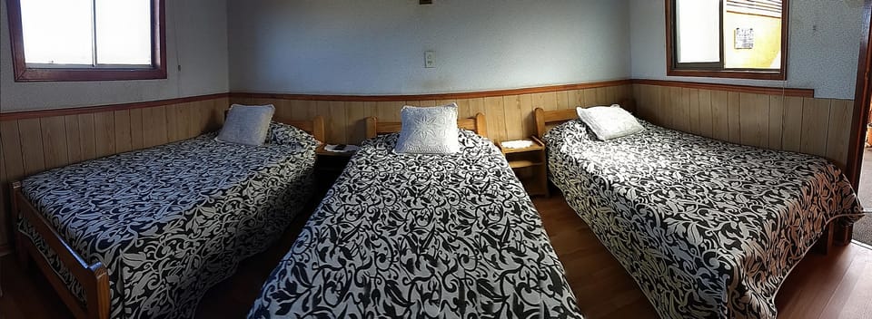 Triple Room, 3 Twin Beds | Iron/ironing board, free WiFi