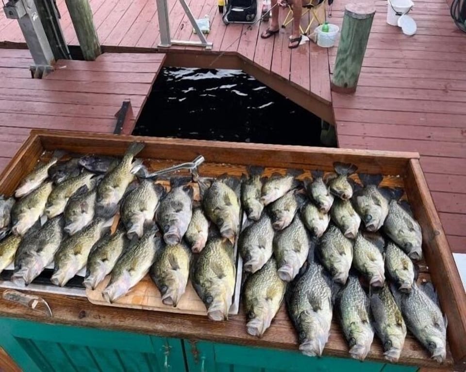 Plenty of fish here!