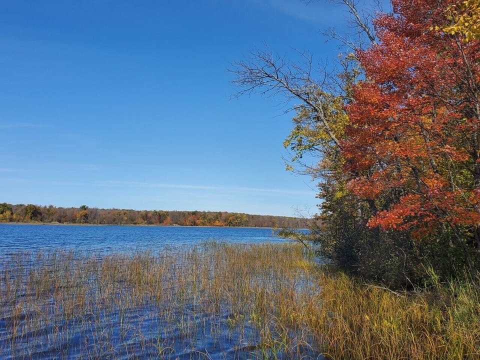 Fall Colors