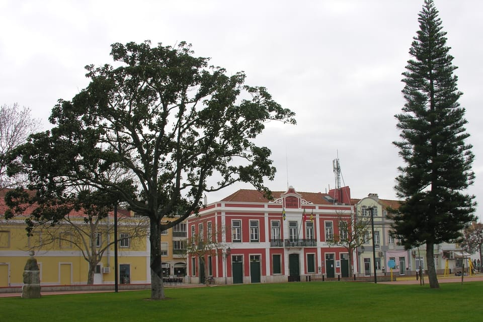 City view,Garden view