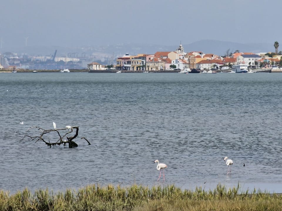 Natural landscape,Lake view,River view