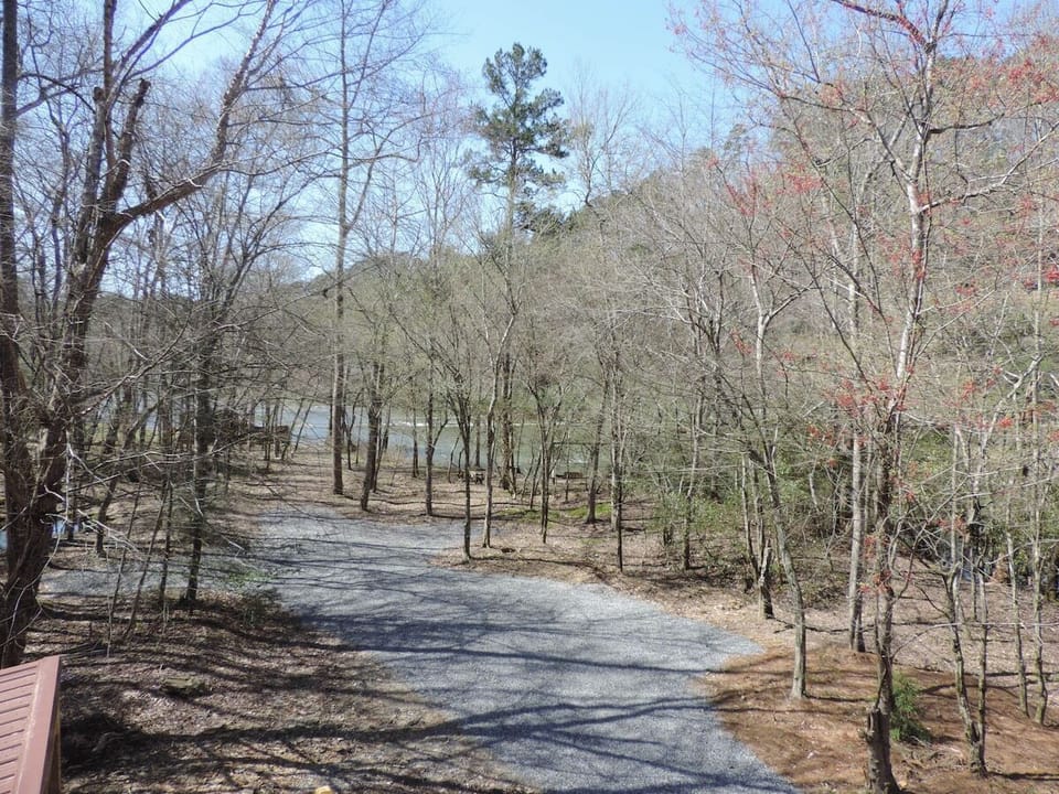 View of the River from the Front Balcony