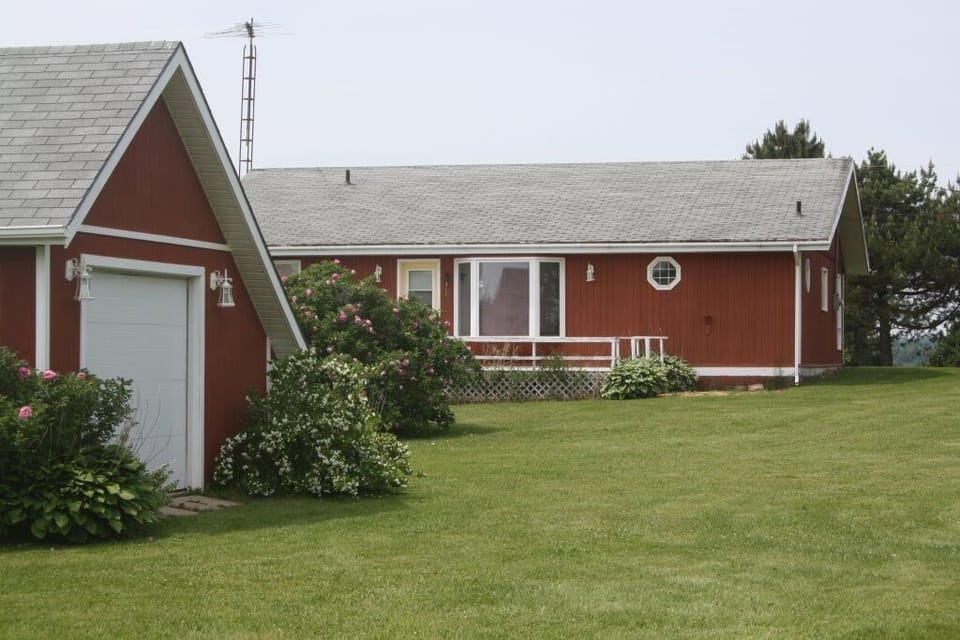 Back yard and parking area of Grandview cottage.