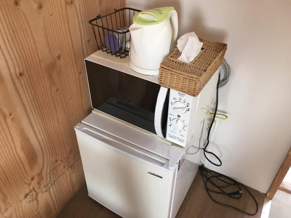 Fridge, microwave, electric kettle